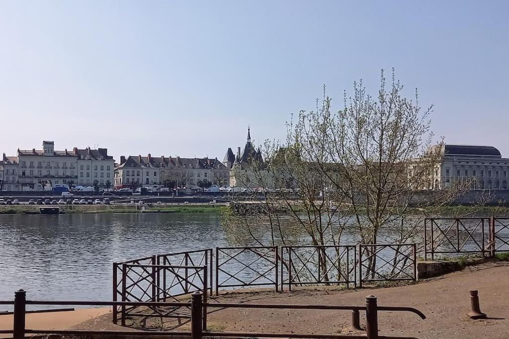 Les Marronniers Appartement Centre Saumur Bord De Loire Kültér fotó