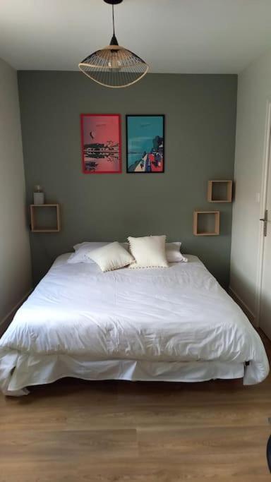 Les Marronniers Appartement Centre Saumur Bord De Loire Kültér fotó